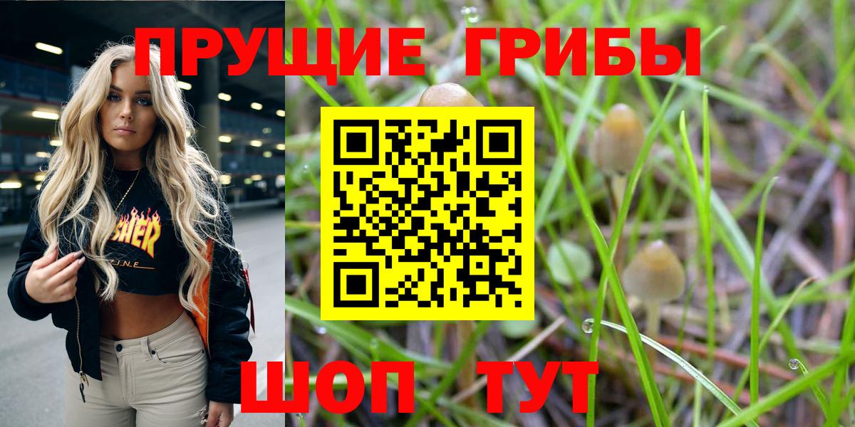 Галлюциногенные грибы ЛСД Луга